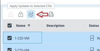 Apply Updates button above the CIDs list